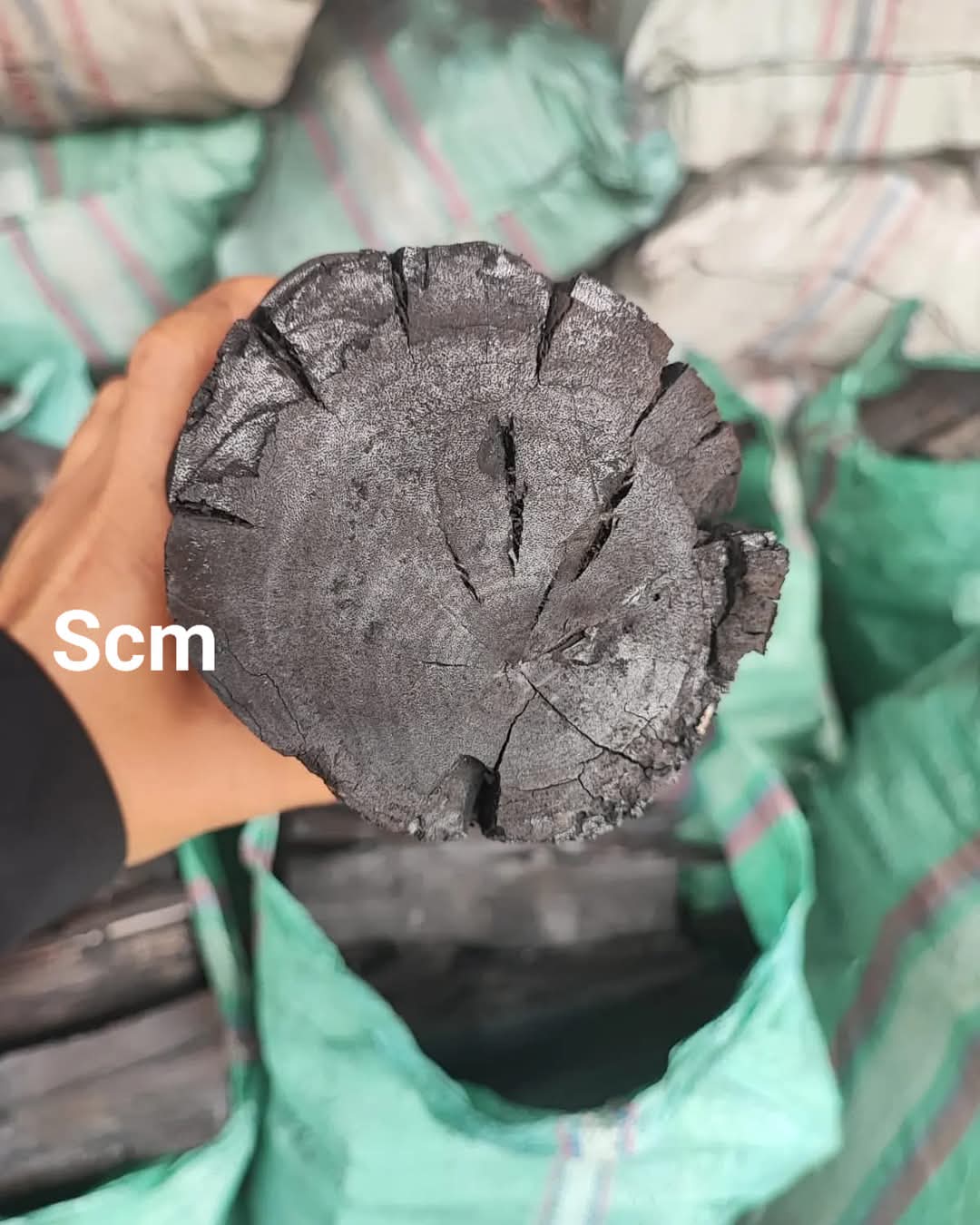 Wood Coal