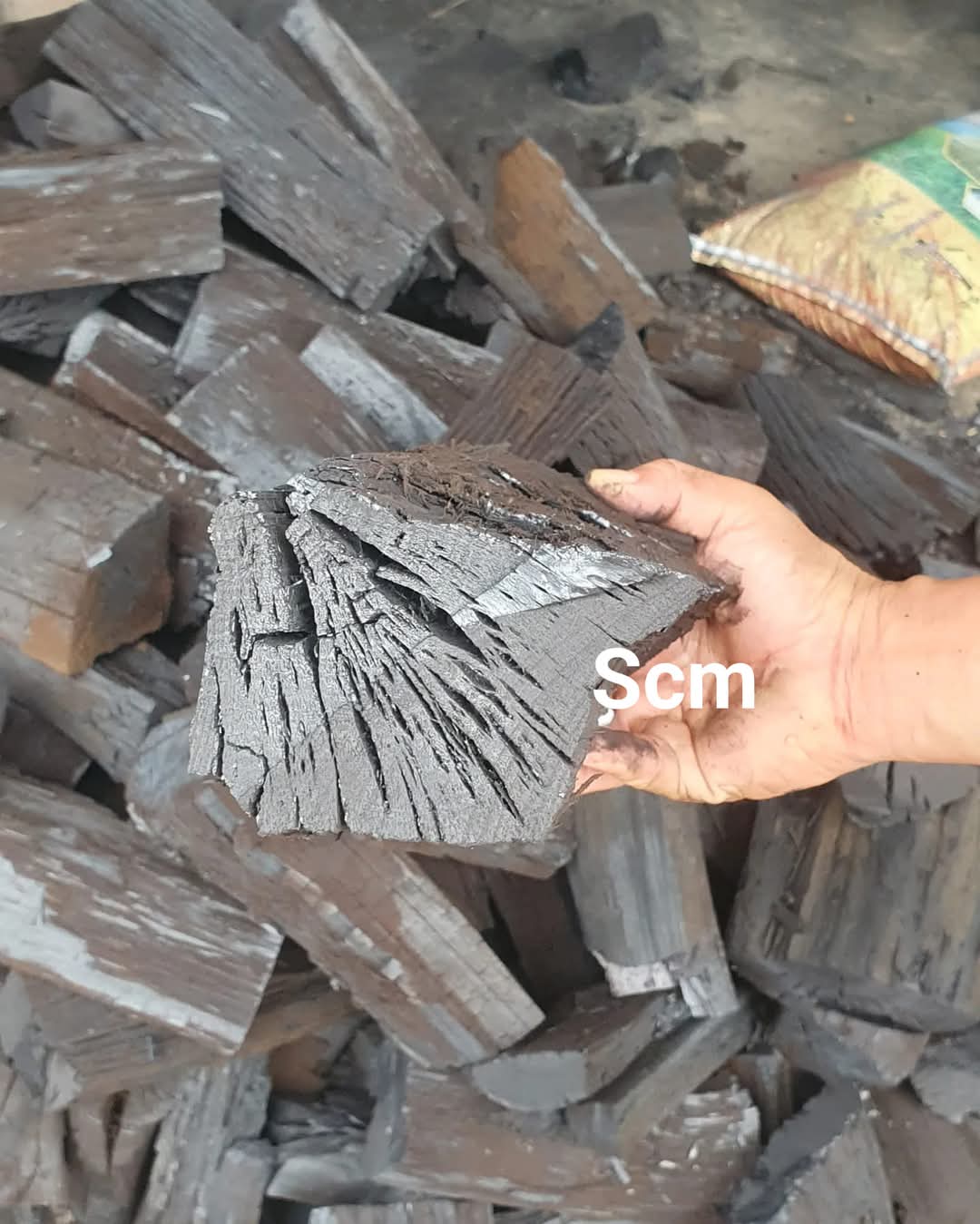 Wood Coal view 4 thumbnail 4